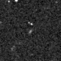 2019tnr_image