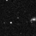 2019tnv_image