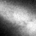 2019toa_image