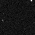 2019tod_image