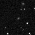 2019tok_image