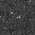 2019tox_image