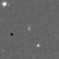 2019tpf_image