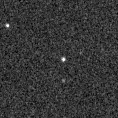 2019tpm_image