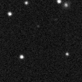 2019tra_image
