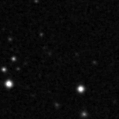 2019tst_image