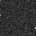 2019tto_image