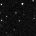 2019tun_image