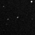 2019tuo_image