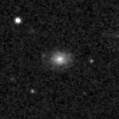 2019twb_image