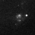 2019txh_image