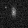 2019txj_image
