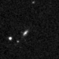 2019tza_image