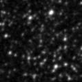 2019uct_image