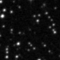 2019ucv_image