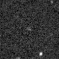 2019udv_image