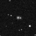 2019uid_image