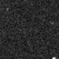 2019ujl_image