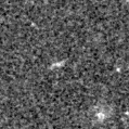2019ull_image