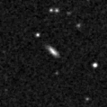 2019umb_image