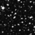 2019umv_image