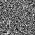 2019uqx_image