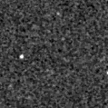 2019uri_image
