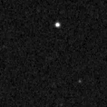 2019urj_image