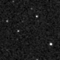 2019ush_image