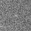 2019vco_image