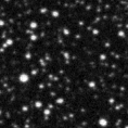 2019vcp_image