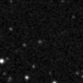 2019vec_image