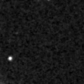 2019vho_image