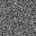 2019vhv_image