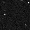 2019vip_image