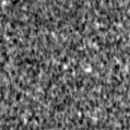 2019vna_image