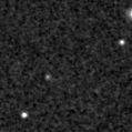 2019vni_image