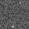 2019vos_image