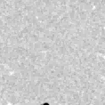 2019vss_image