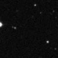 2019vvd_image