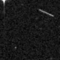2019vvf_image