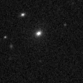 2019vvz_image