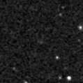 2019wal_image