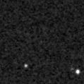 2019wcf_image