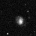 2019wci_image