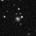 2019wck_image