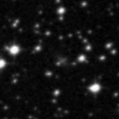 2019wdg_image