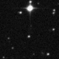 2019wdi_image