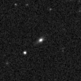 2019wdq_image