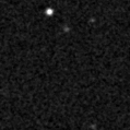 2019wdy_image